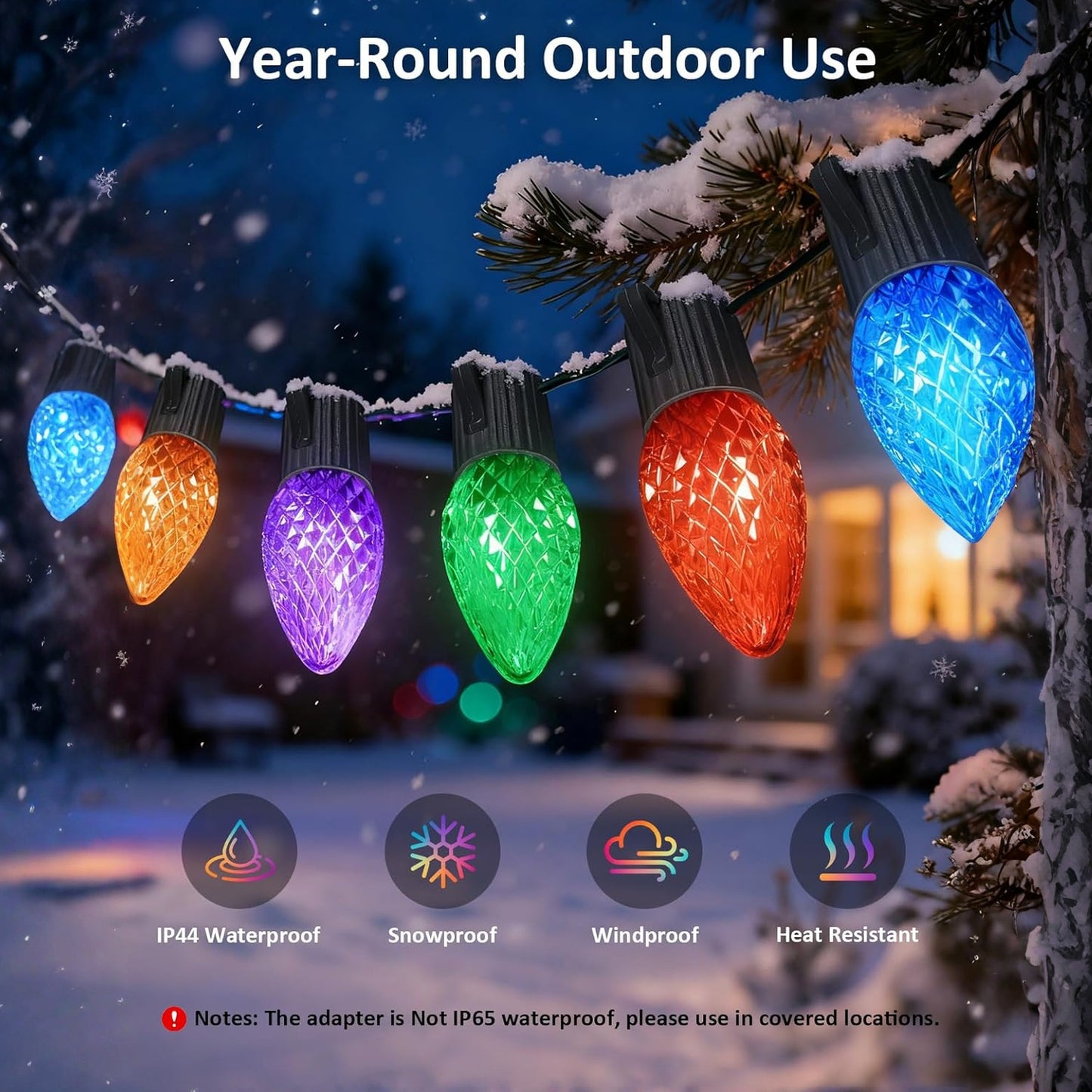 Smart C9 LED Lights (Faceted)